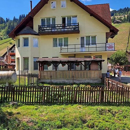 Pensiunea Sorina Casa Alba Моечиу-де-Сус Экстерьер фото