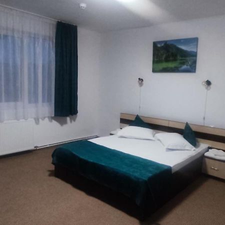 Pensiunea Sorina Casa Alba Моечиу-де-Сус Экстерьер фото