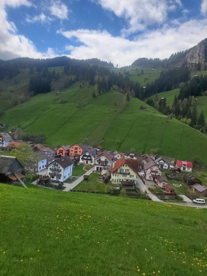 Pensiunea Sorina Casa Alba Моечиу-де-Сус Экстерьер фото