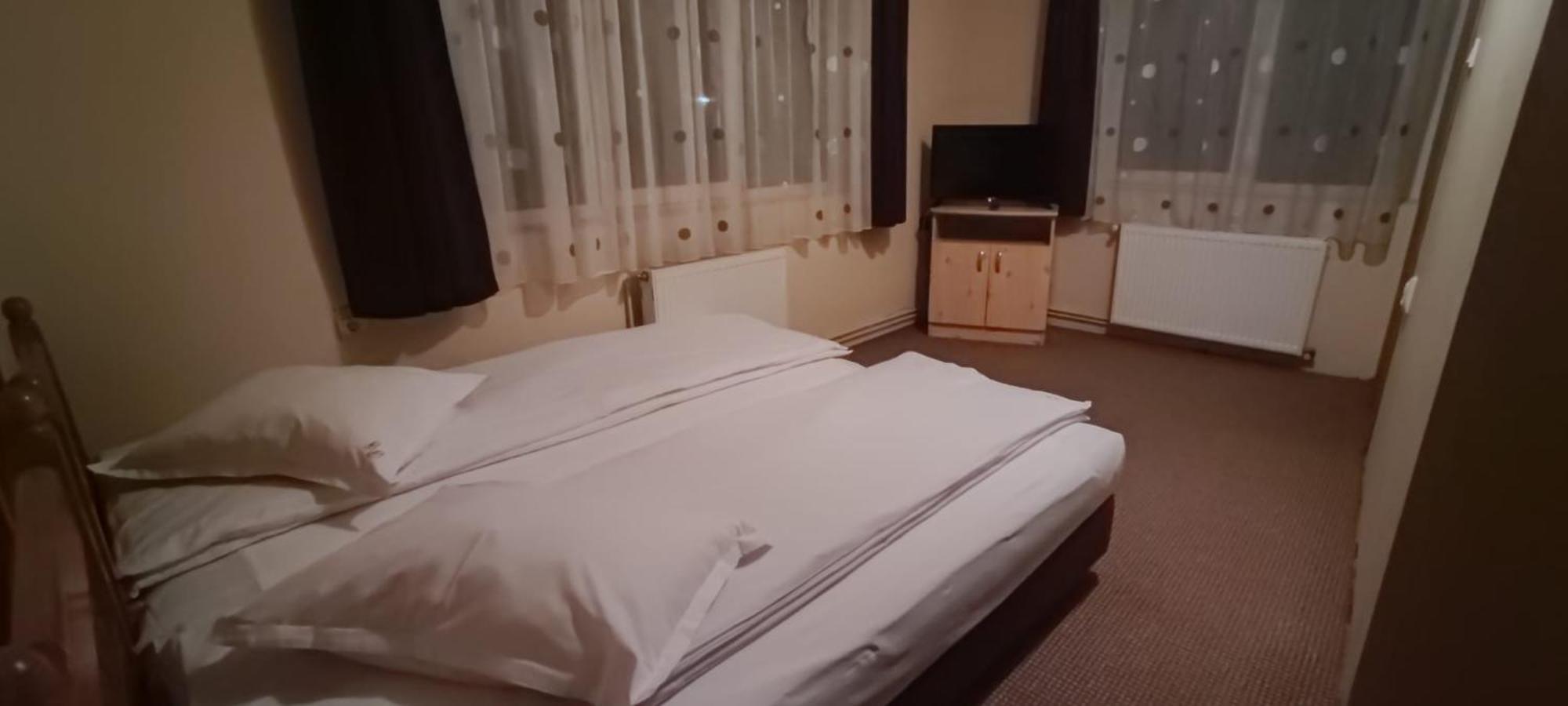 Pensiunea Sorina Casa Alba Моечиу-де-Сус Экстерьер фото